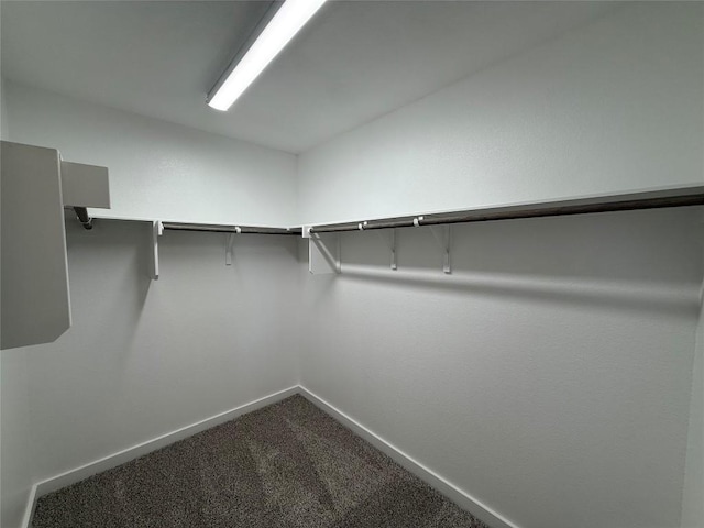 walk in closet with carpet floors