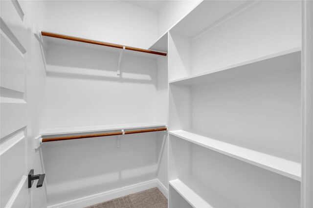 spacious closet featuring carpet flooring