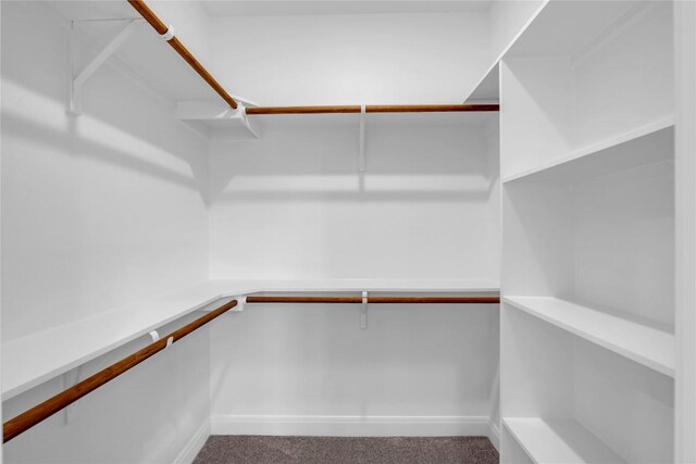 walk in closet with carpet flooring