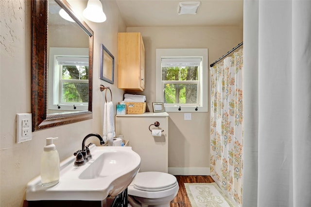 bathroom featuring hardwood / wood-style floors, toilet, vanity, and a healthy amount of sunlight