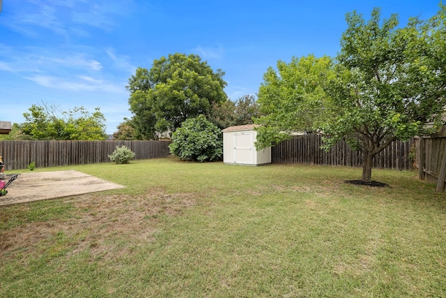 view of yard with a patio area and a storage shed