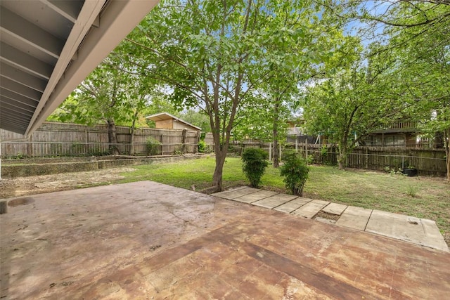 3411 Thomas Kincheon St, Austin, TX 78745 - fenced backyard featuring a patio
