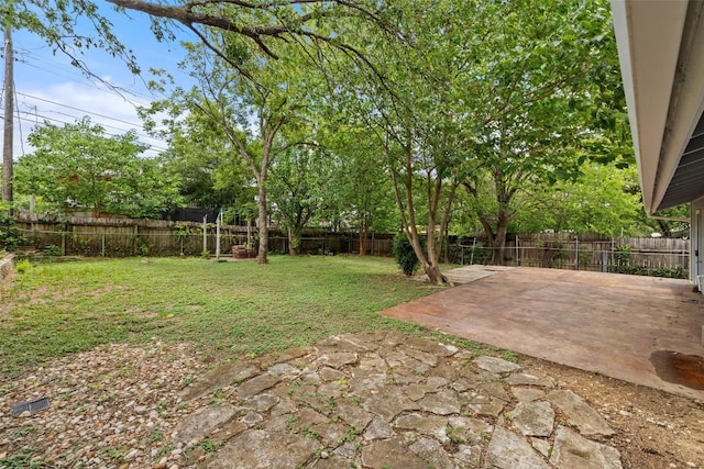 3411 Thomas Kincheon St, Austin, TX 78745 - fenced backyard with a patio
