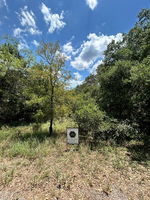 Listing photo 3 for LOT448 Indian Summer, Spicewood TX 78669