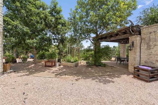 view of yard featuring a vegetable garden, a pergola, and a patio area