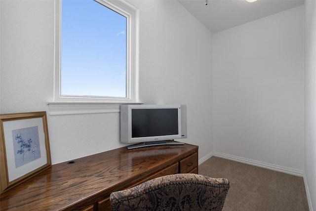 home office featuring a wealth of natural light and carpet