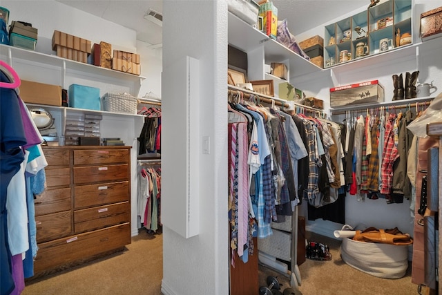 spacious closet with carpet floors