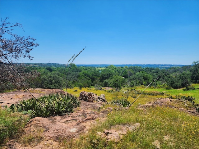 view of nature