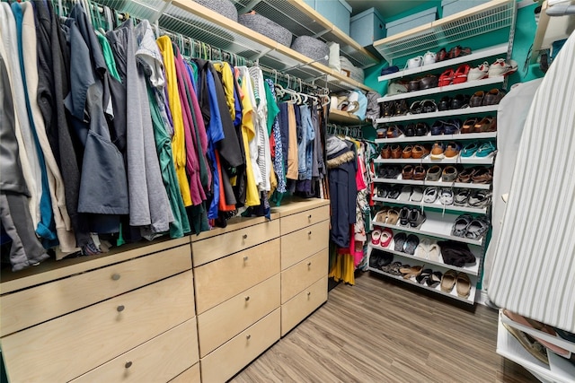 spacious closet featuring hardwood / wood-style flooring