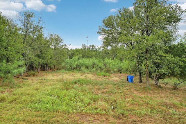 1811 Jasper St, Bastrop, TX 78602