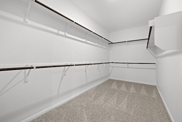 spacious closet with carpet flooring