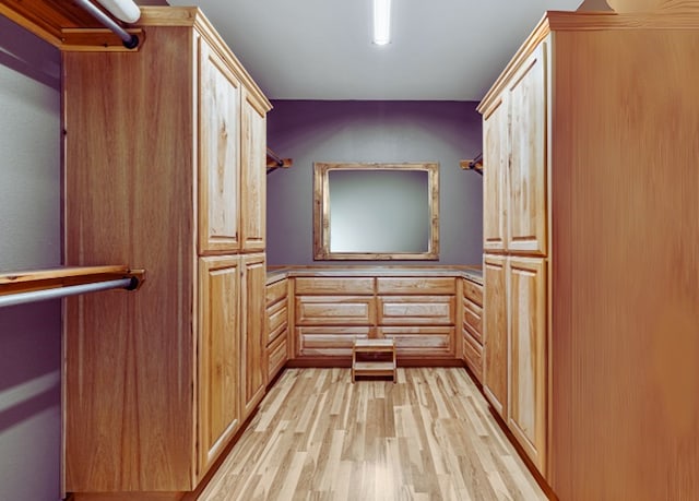 spacious closet with light wood-type flooring