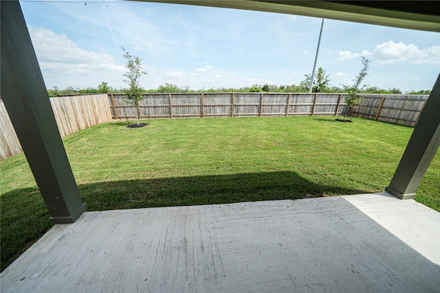 view of yard featuring a patio area