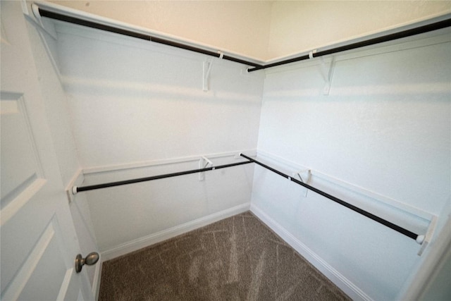 213 Fillmore Fls, Cibolo, TX 78108 - spacious closet featuring carpet floors