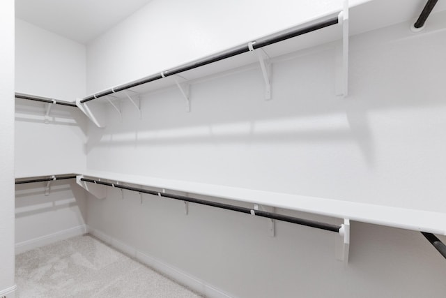 spacious closet with light colored carpet