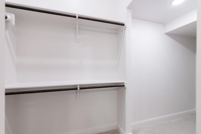 spacious closet featuring carpet