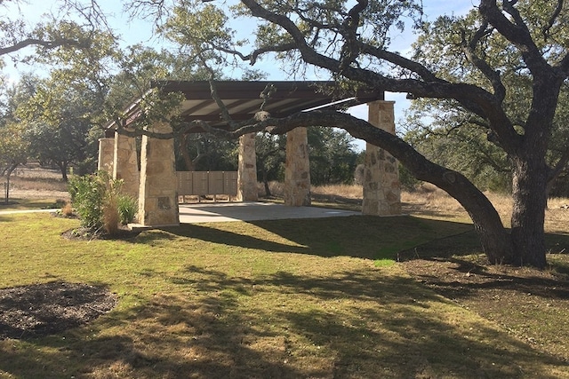 view of community with a yard