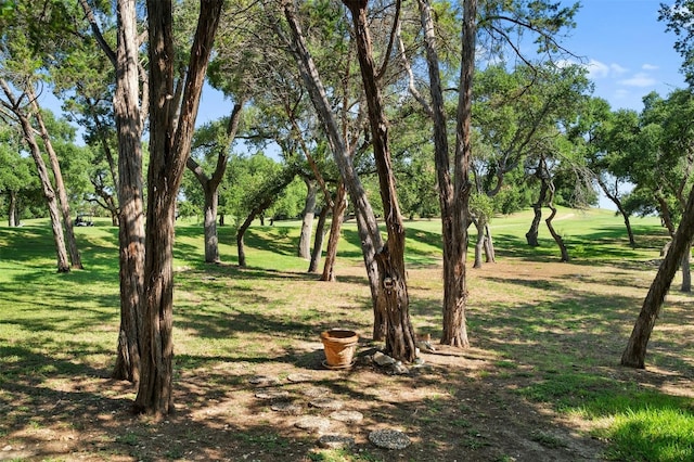 view of property's community featuring a yard