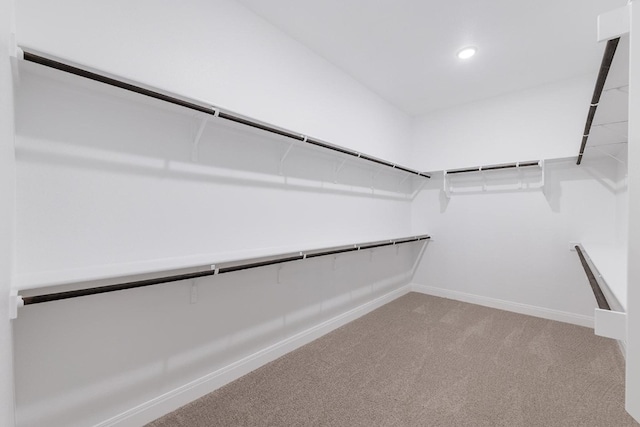 walk in closet with carpet flooring