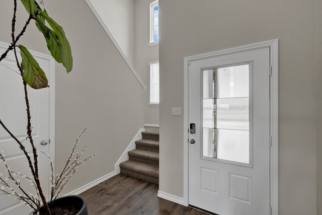 foyer featuring plenty of natural light and dark hardwood / wood-style flooring