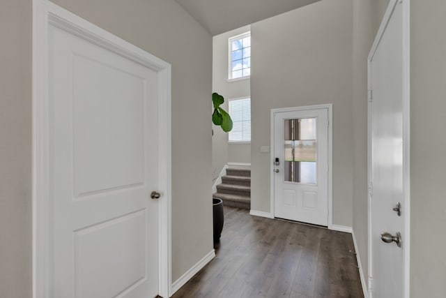 foyer entrance with dark wood-type flooring