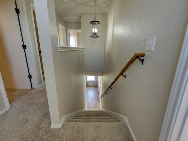 staircase with carpet flooring