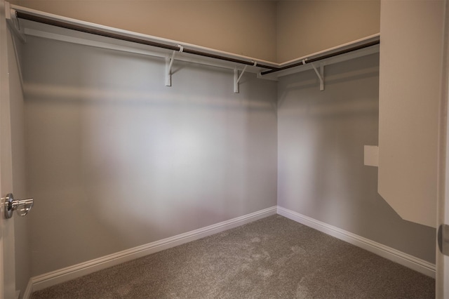 spacious closet with carpet flooring