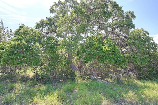 104 William Tobin, Blanco, TX 78606