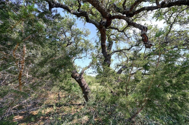 104 William Tobin, Blanco, TX 78606
