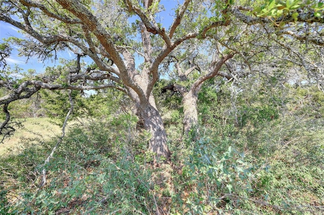 104 William Tobin, Blanco, TX 78606