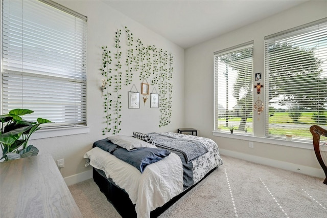 carpeted bedroom with multiple windows