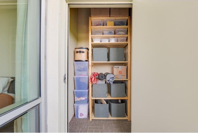 view of closet