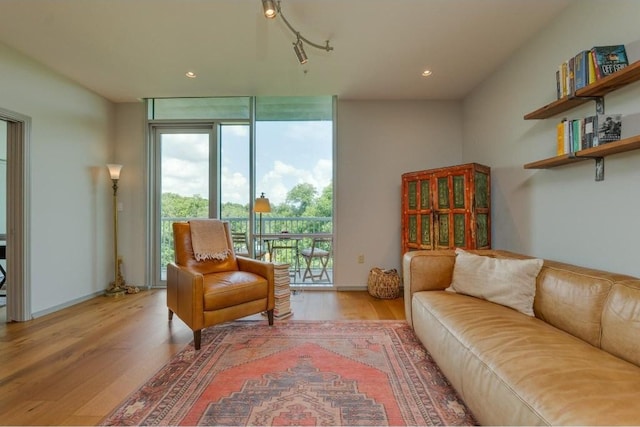 living room with a wall of windows and light wood-type flooring