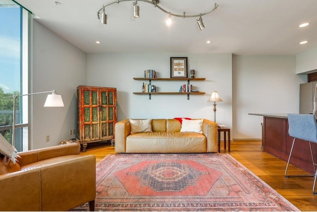 living room featuring light wood-type flooring