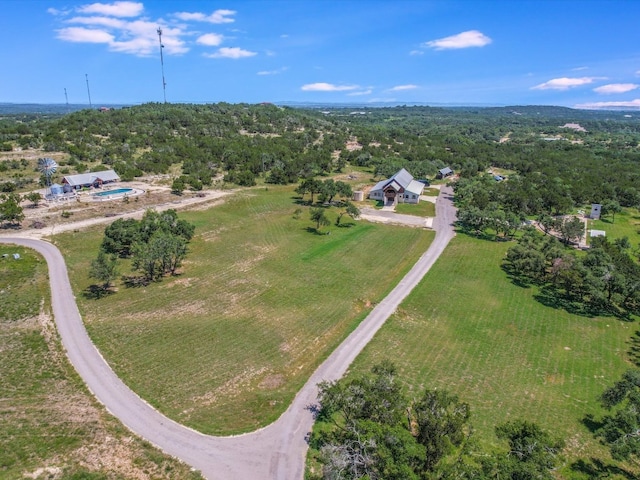453 Lone Man Mountain Rd, Wimberley, TX 78676 - photo 5
