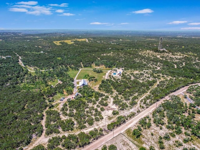 453 Lone Man Mountain Rd, Wimberley, TX 78676 - photo 31