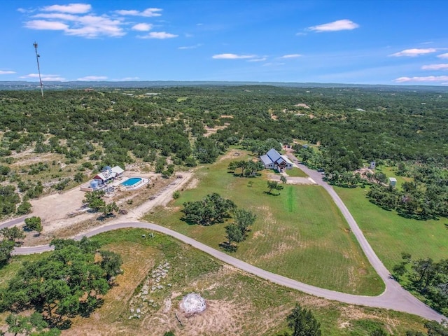 453 Lone Man Mountain Rd, Wimberley, TX 78676 - photo 33
