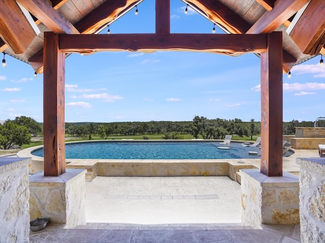 view of swimming pool with a jacuzzi