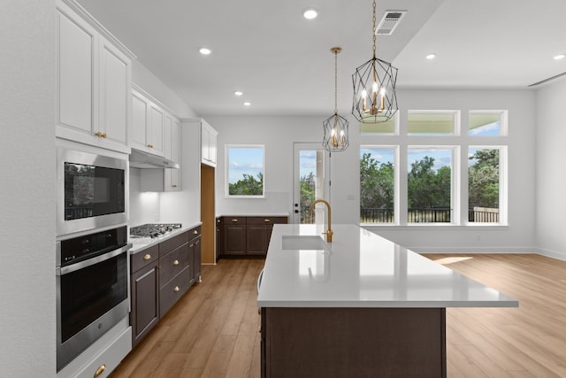 kitchen with appliances with stainless steel finishes, dark brown cabinetry, sink, light hardwood / wood-style floors, and white cabinetry