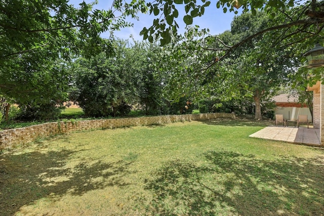 view of yard featuring a patio area