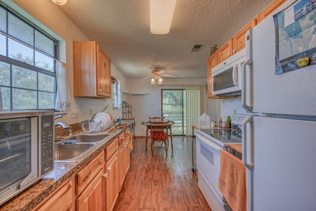 kitchen featuring ceiling fan, hardwood / wood-style flooring, white appliances, sink, and a textured ceiling