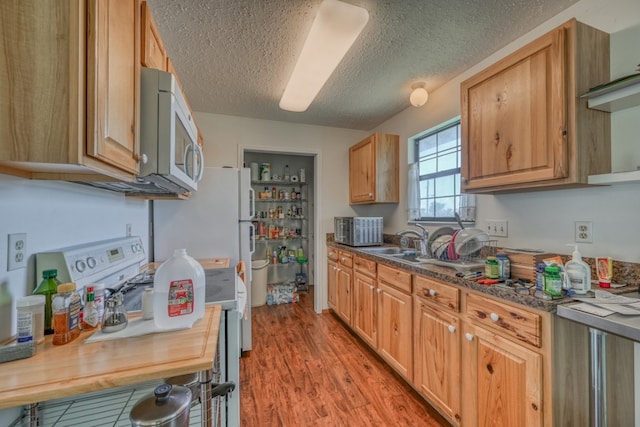 kitchen featuring sink, a textured ceiling, and hardwood / wood-style flooring