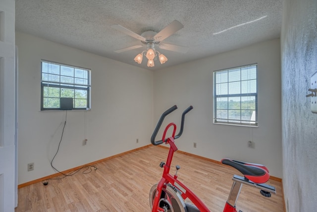 workout area featuring wood-type flooring, a textured ceiling, and ceiling fan