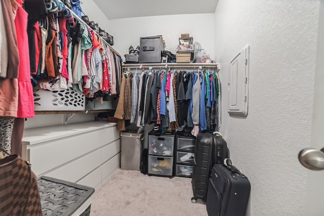 walk in closet with carpet flooring