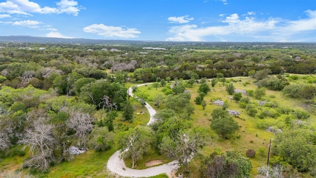 Listing photo 3 for 9425 County Road 404, Spicewood TX 78669