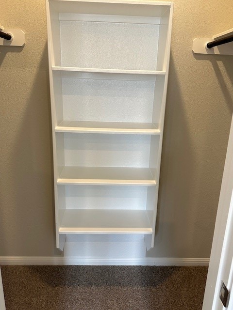 spacious closet featuring carpet flooring