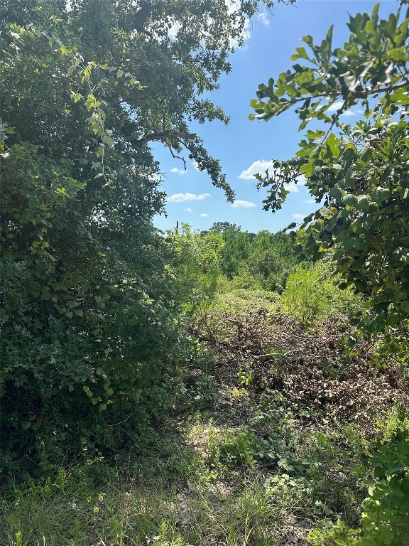 164 Manawianui Dr, Bastrop, TX 78602