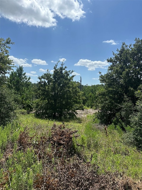 164 Manawianui Dr, Bastrop, TX 78602