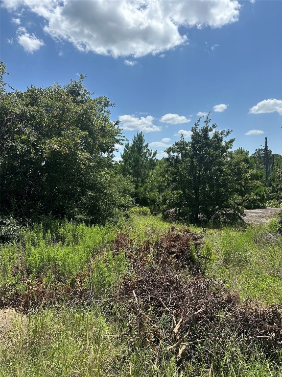 164 Manawianui Dr, Bastrop, TX 78602