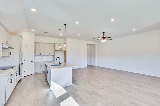 kitchen featuring white cabinets, light hardwood / wood-style floors, sink, and a kitchen island with sink